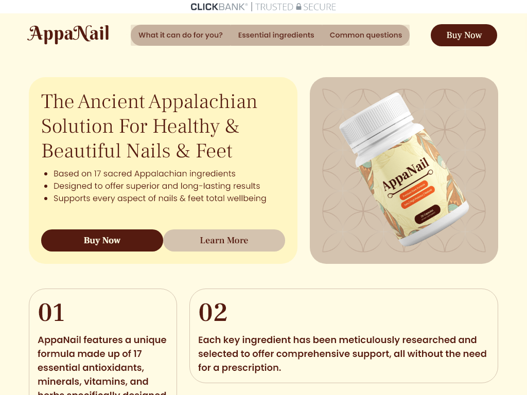 APPANAIL REVIEW | WHY EVERYONE IS WRONG