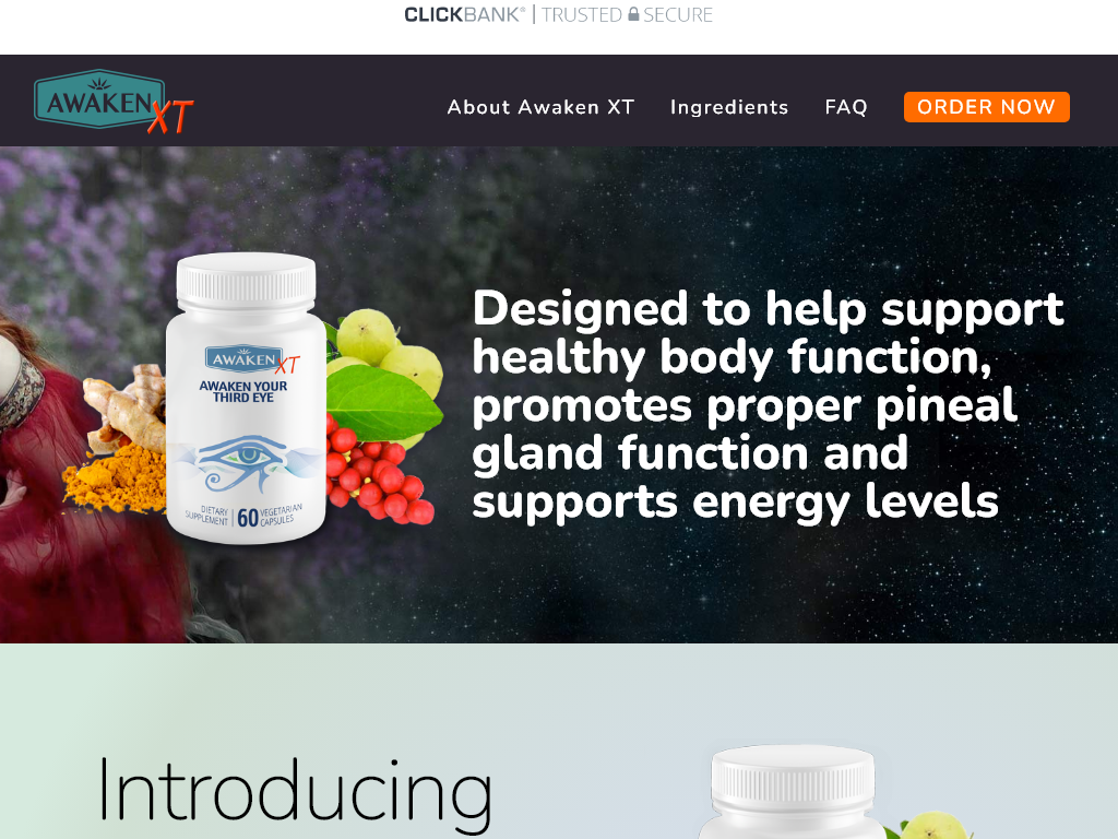 AWAKEN XT REVIEW | MY 30 DAY PRODUCTIVITY SPIKE