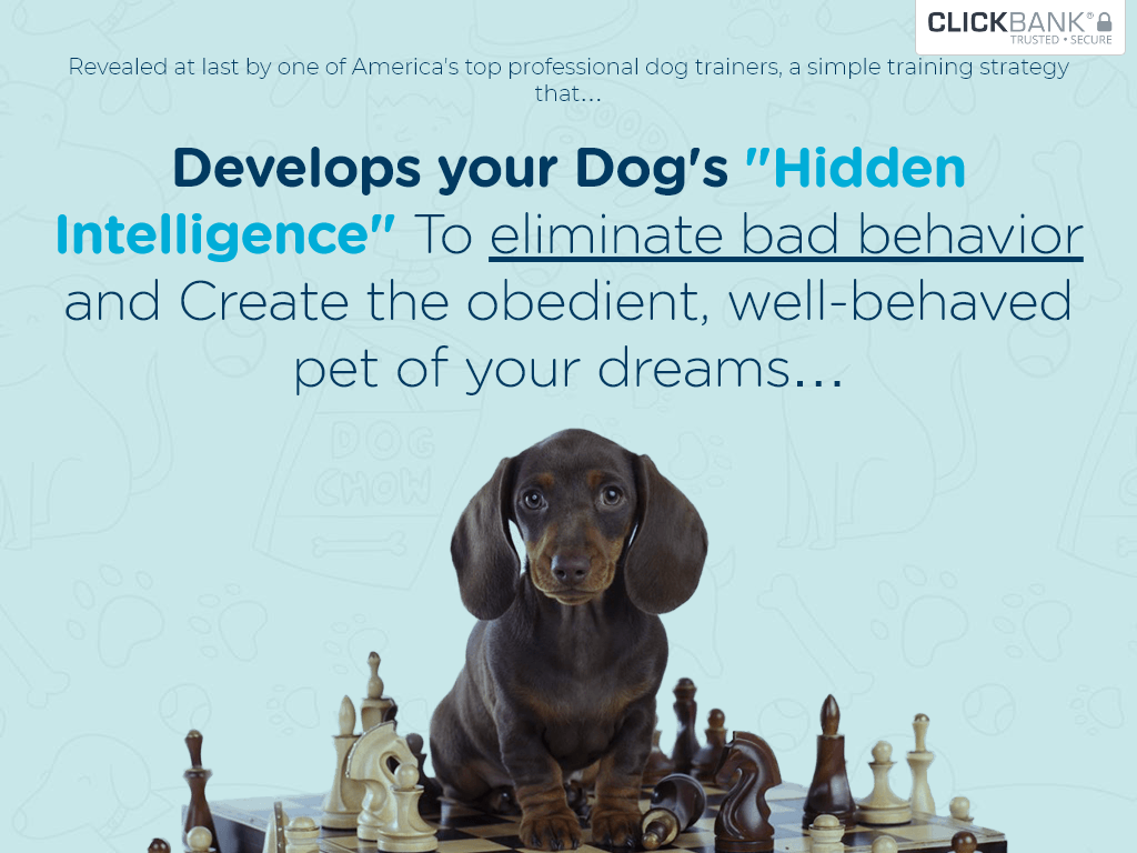 BRAIN TRAINING FOR DOGS REVIEW : MY 24 HOUR STRESS TEST