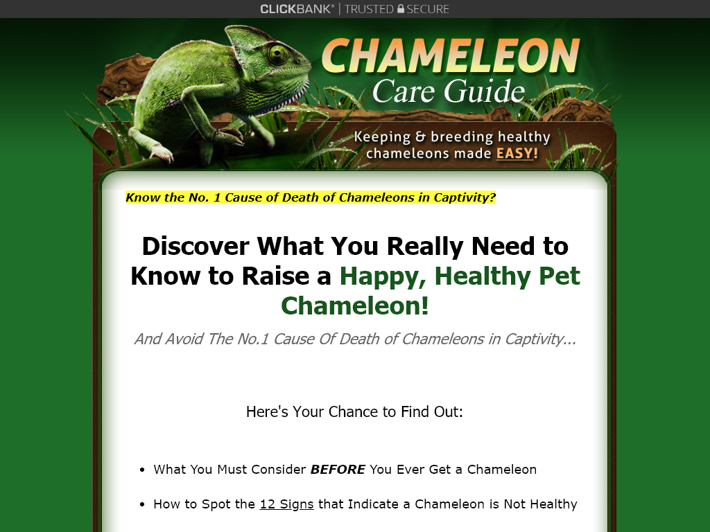 CHAMELEON CARE GUIDE REVIEW – I AM FURIOUS I WAITED 6 MONTHS