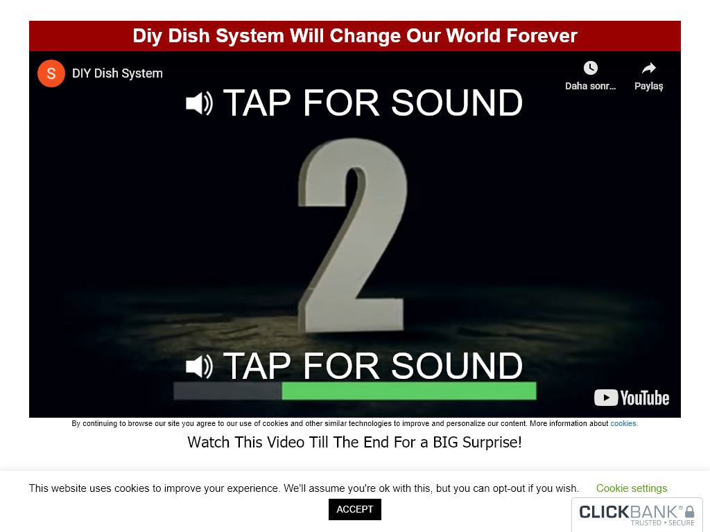 DIY DISH SYSTEM REVIEW : HOW MY CONFIDENCE CHANGED
