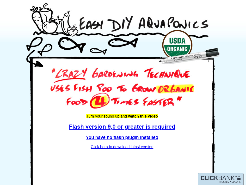 AQUAPONICS SITE REVIEW – WHAT CHANGED DURING USE?