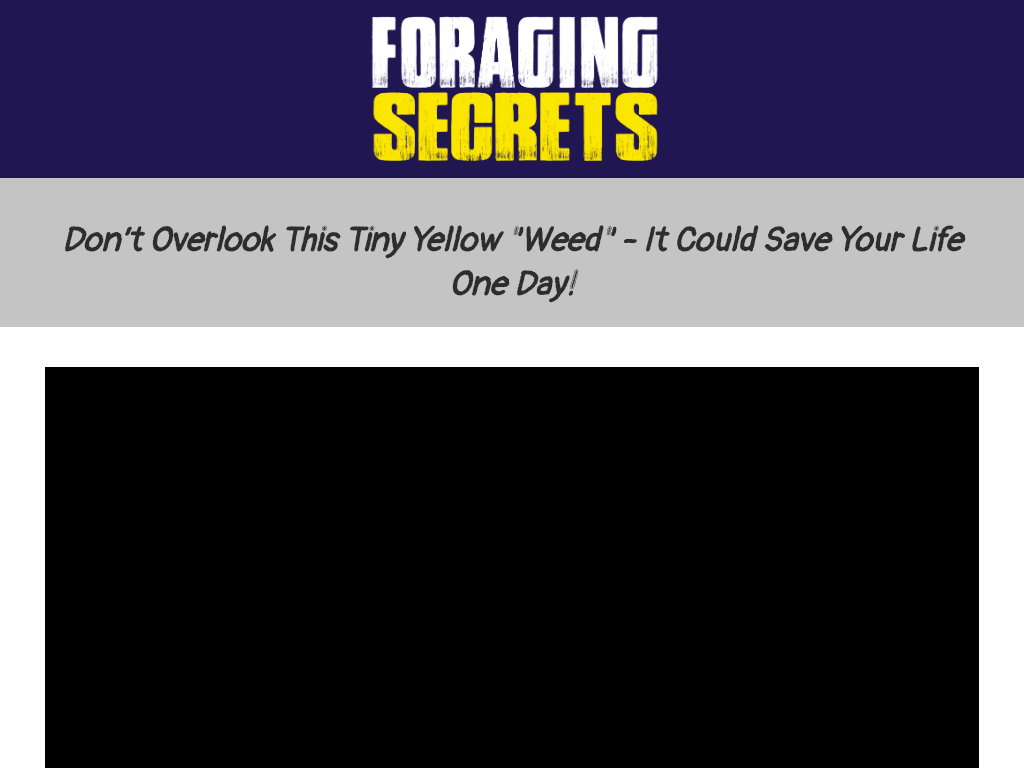 FORAGING SECRETS REVIEW | THE DAY 21 BREAKTHROUGH