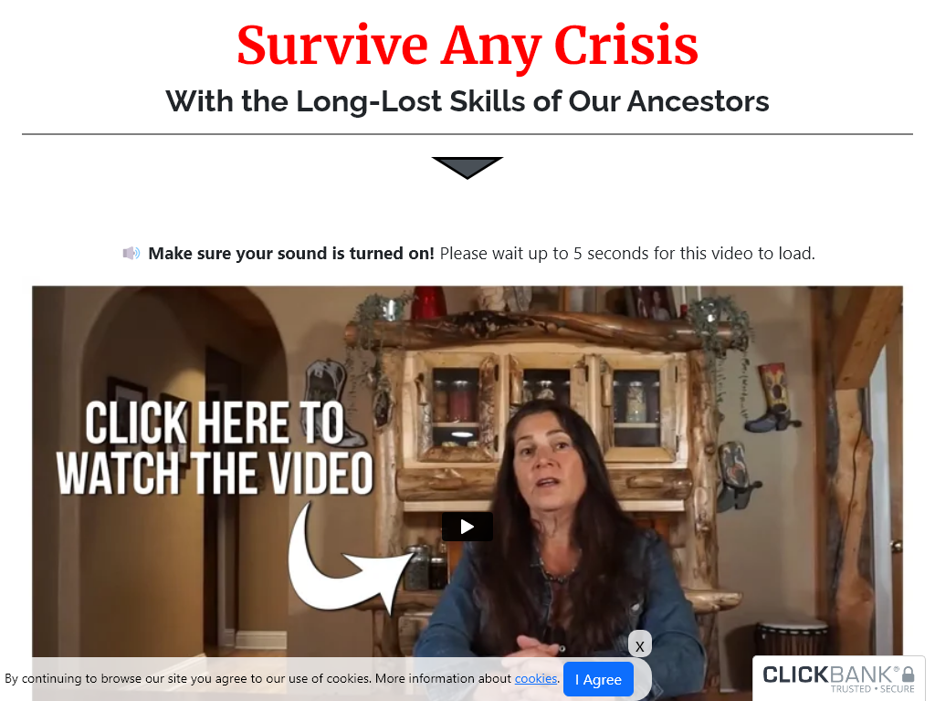 LOST FRONTIER HANDBOOK REVIEW | MY 1 YEAR REVIEW IS HERE