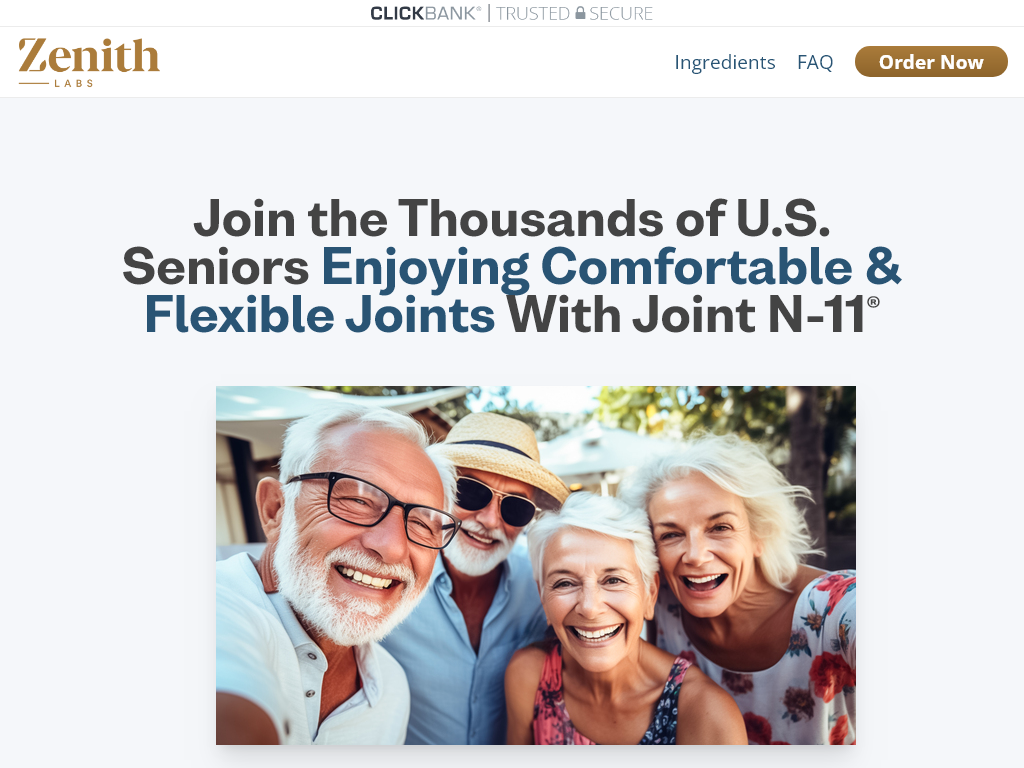 JOINT N-11 REVIEW : IS IT JUST A PLACEBO?