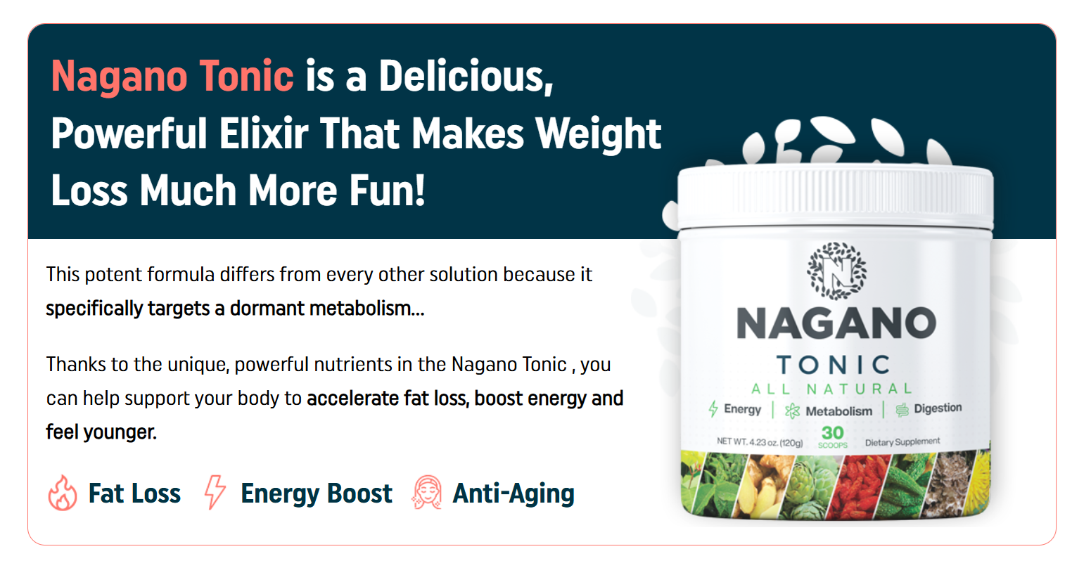 NAGANO TONIC REVIEW : THE SIMPLE TRUTH IS HERE