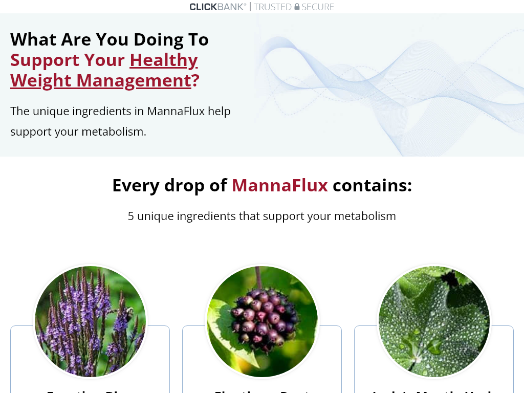 MANNAFLUX REVIEW – WHY I WAS SKEPTICAL AT FIRST