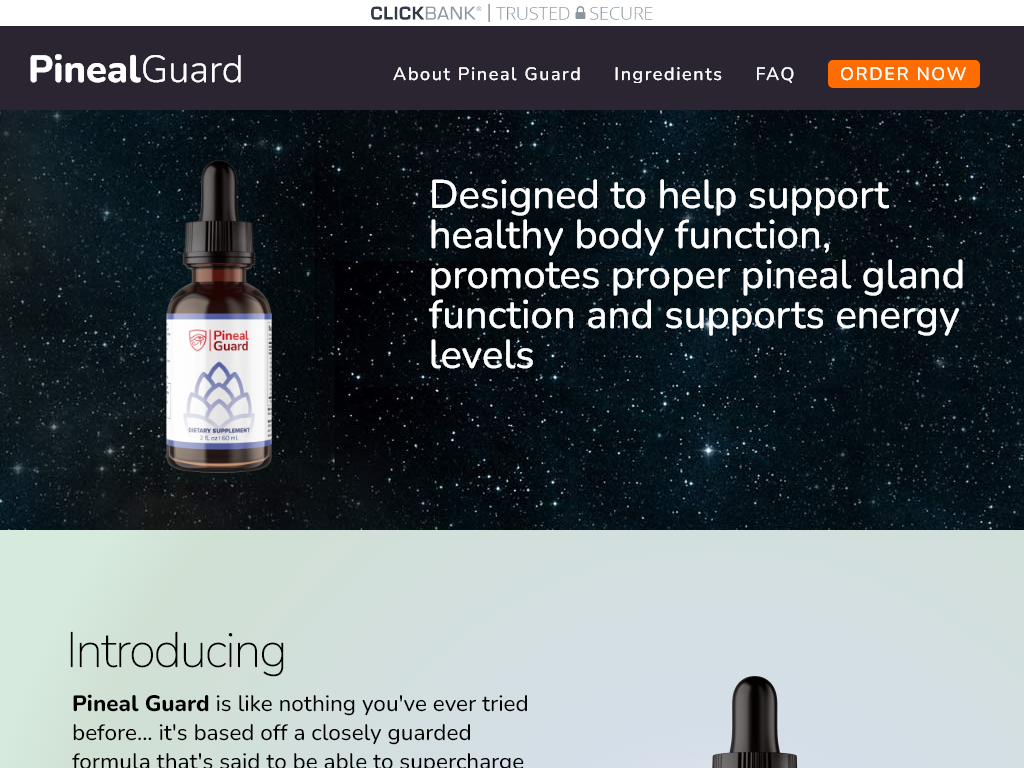 PINEAL GUARD REVIEW – THE CRASH ON DAY 3 WAS MY FAULT