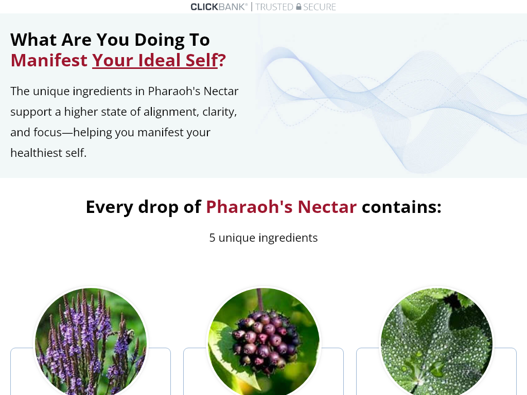 PHARAOH’S NECTAR REVIEW | THE RESULTS SPEAK LOUDLY