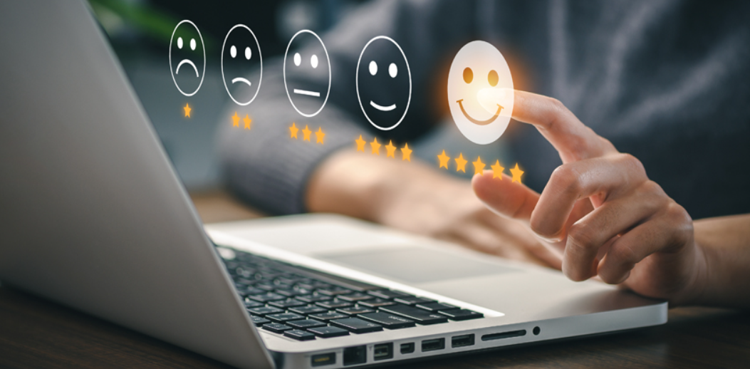 LEARNING TO LIVE WITH AN ENGLISH BULL TERRIER REVIEW : IS IT TOO GOOD TO BE TRUE?