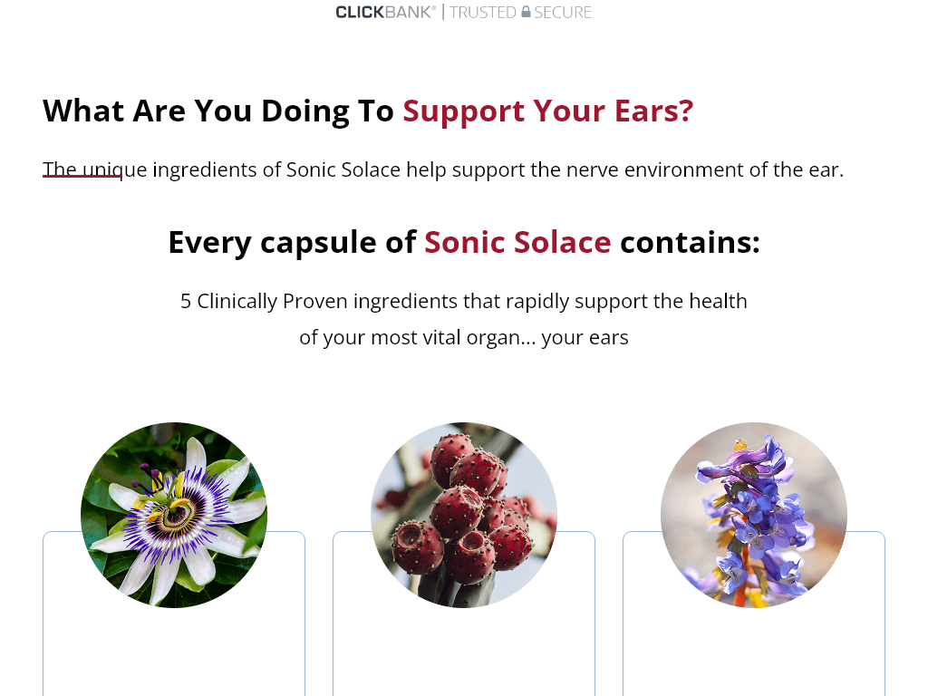 SONIC SOLACE REVIEW – THE PROS AND CONS REVEALED