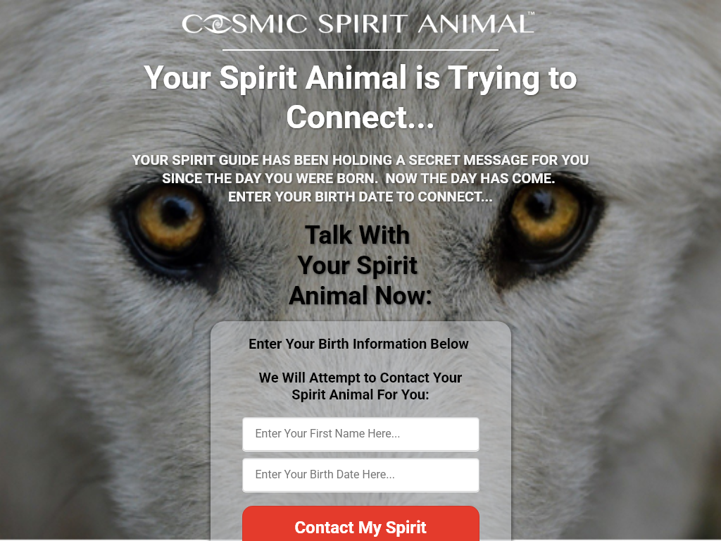 COSMIC SPIRIT ANIMAL REVIEW | THE SHOCKING DIFFERENCE!